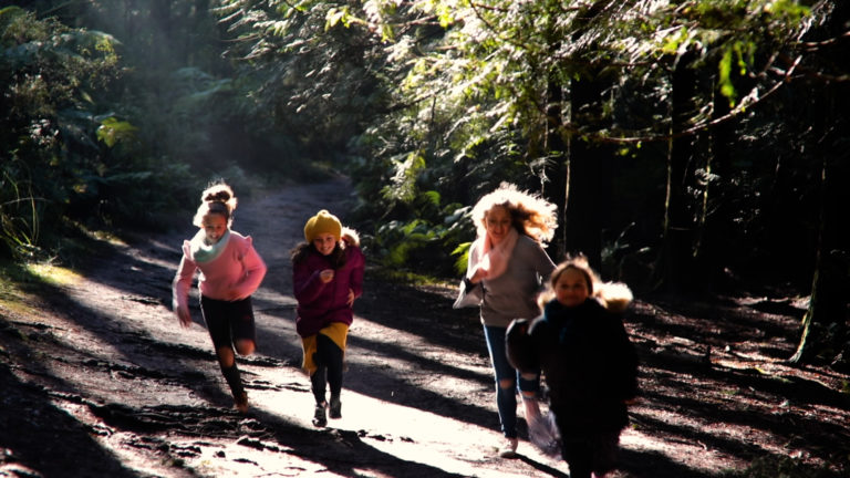 Redwood Forest Warburton Film