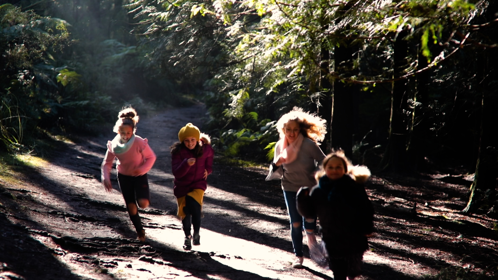 redwood forest warburton film still