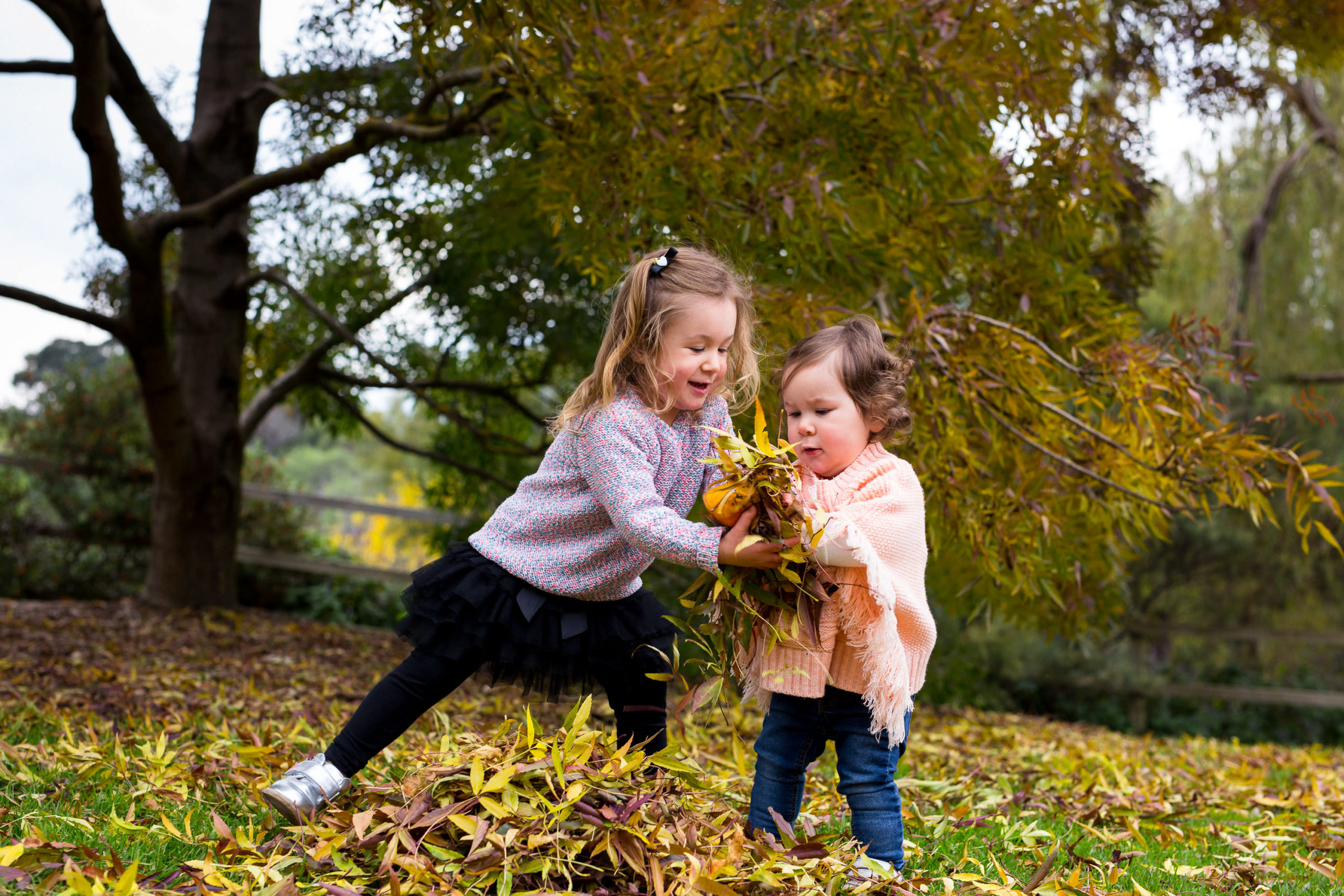 berwick family photography wilson botanic park berwick