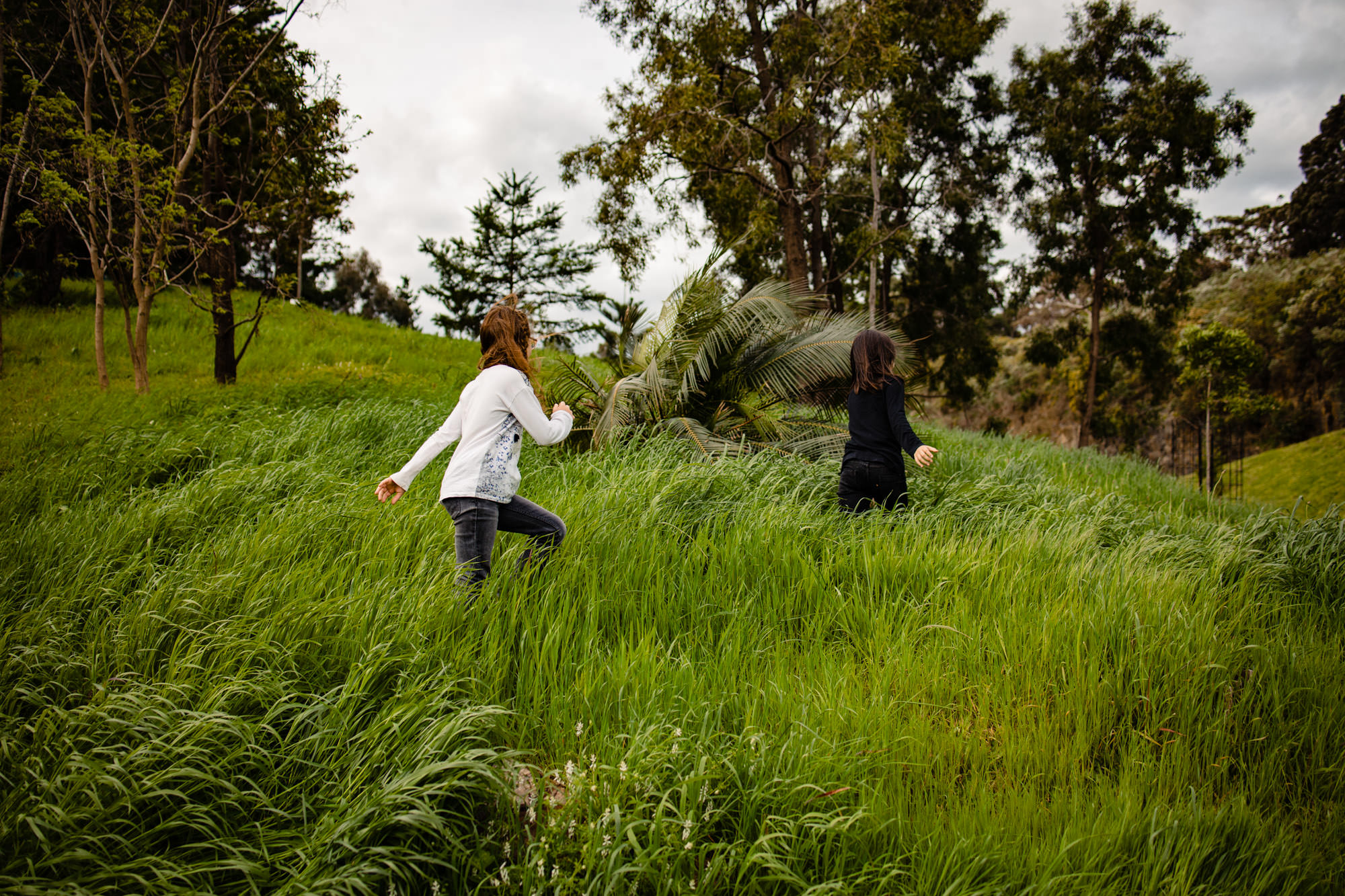 family photos berwick girls walking in long grass