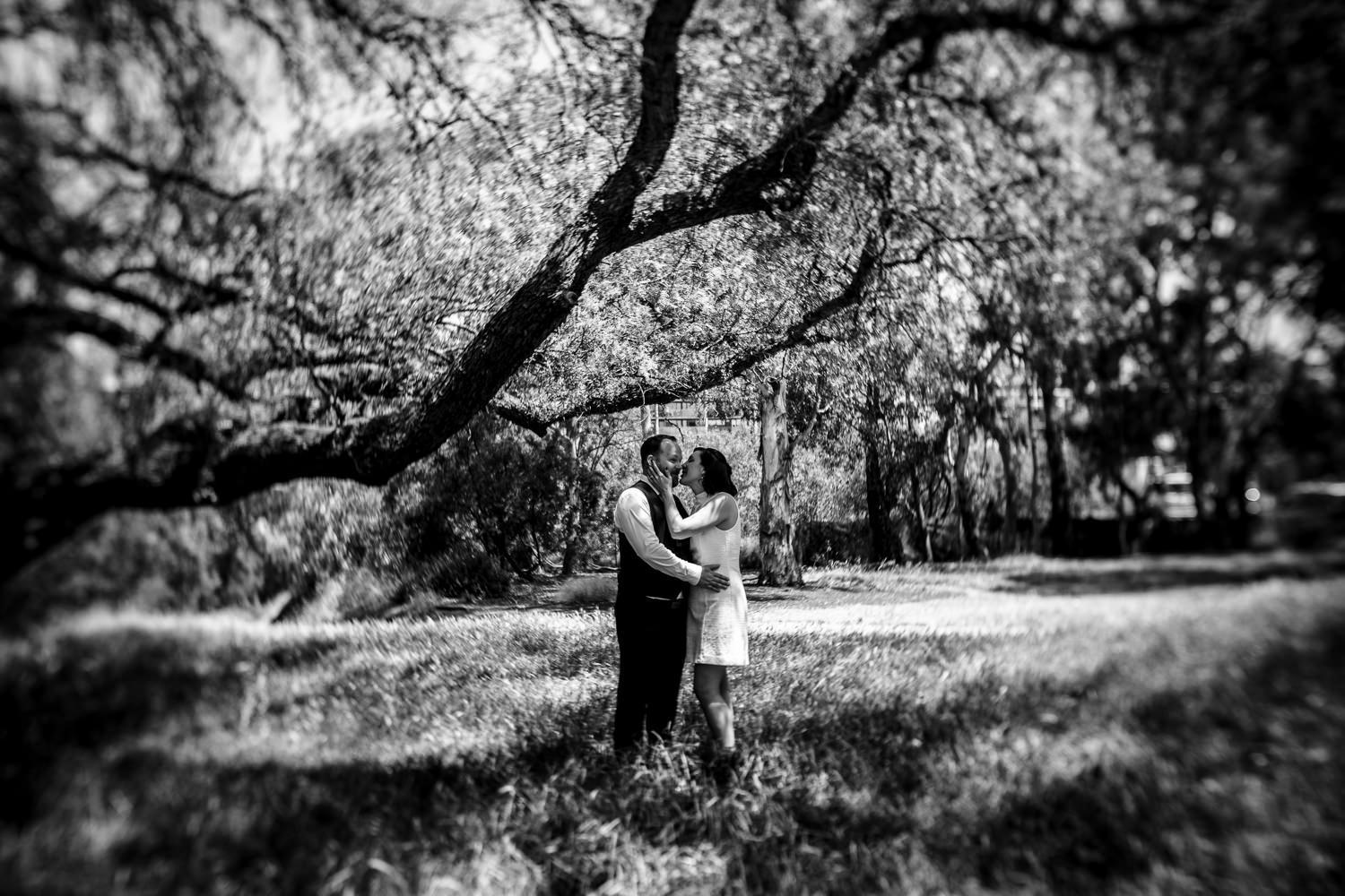 bride and groom almost kissing under a tree