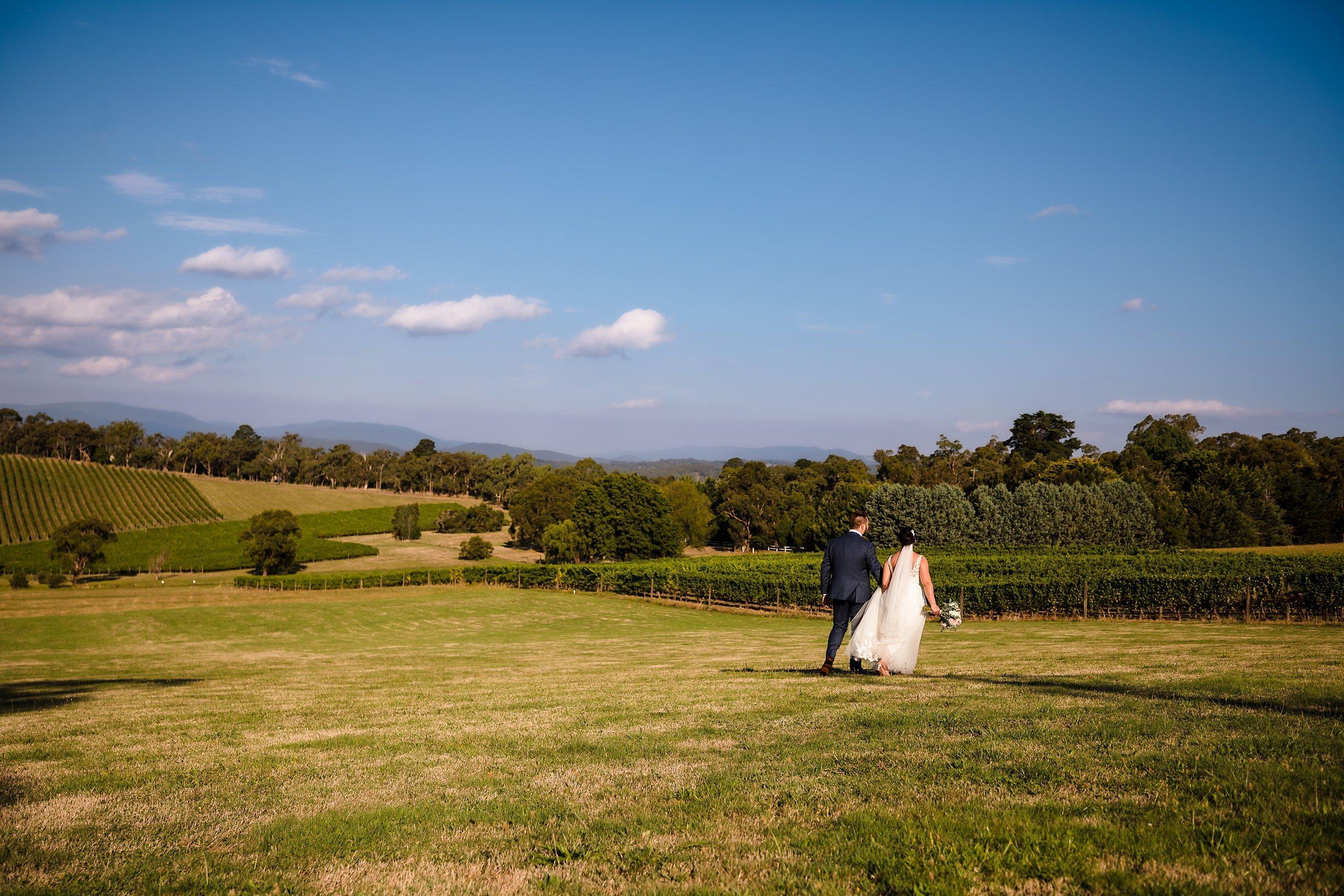 killara estate wedding photo of bride and groom holding hands and walking towards vines