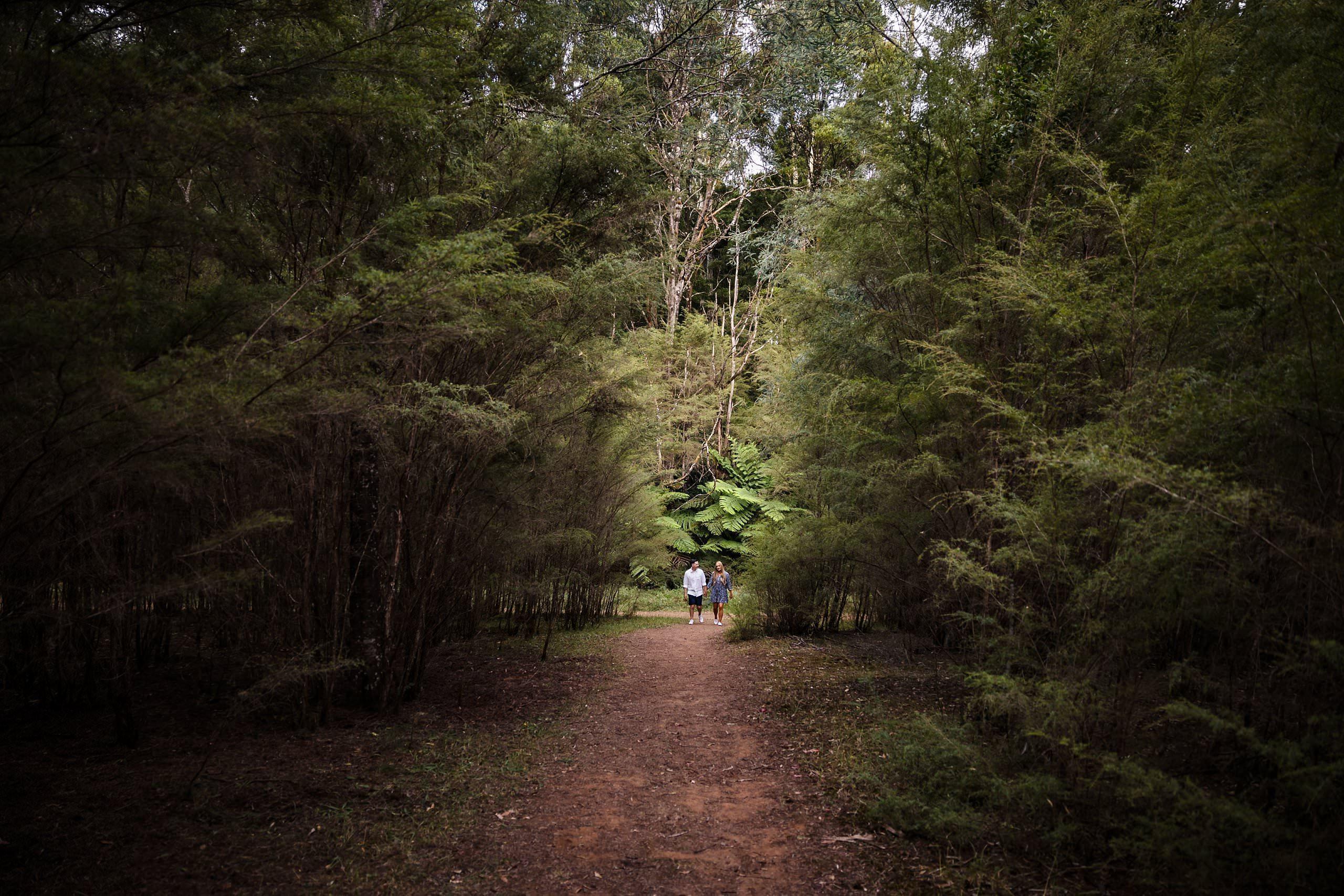 wide view of the warburton red forest couples session