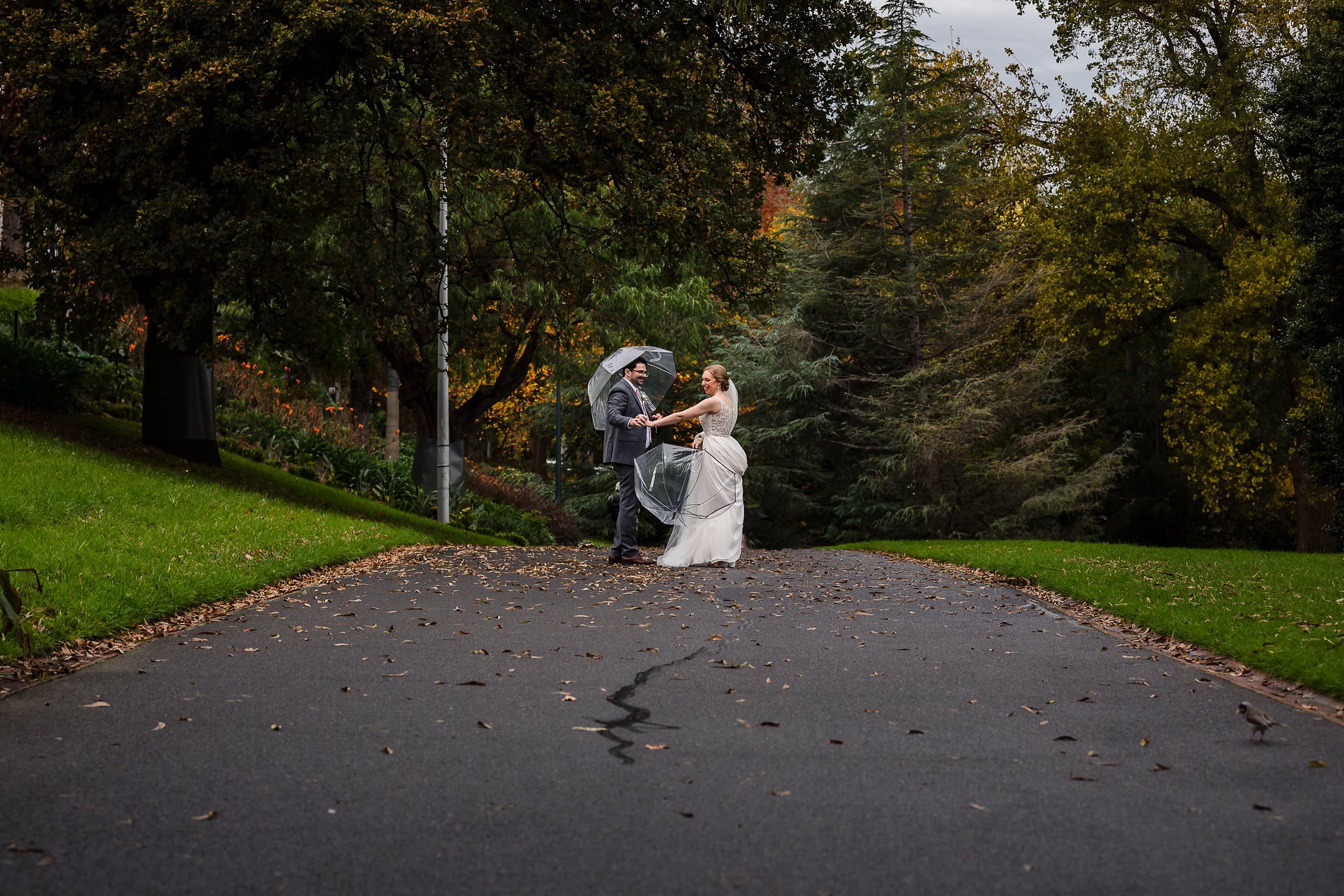 wide shot of bride and groom in the treasury gardens