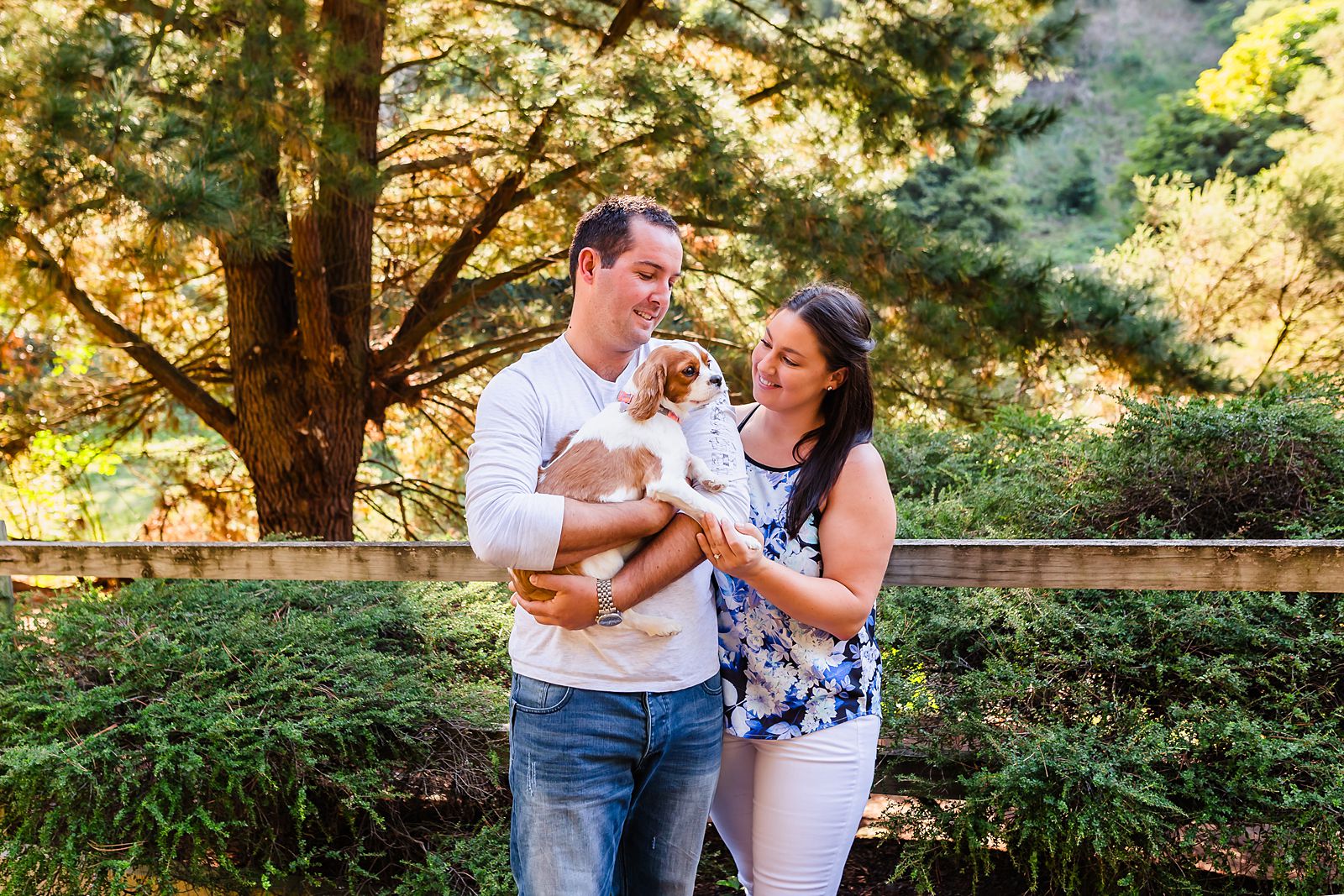 tips for including your dog in your engagement session