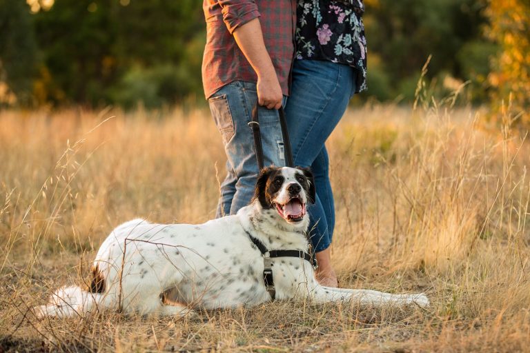 Tips for Including Your Dog in Your Photo Session